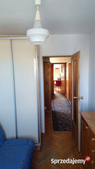 Świetna Niezależne Trzy Pokoje internet