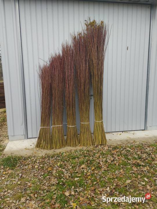 Wiklina sortowana 160 do 260 Korczowiska sprzedam