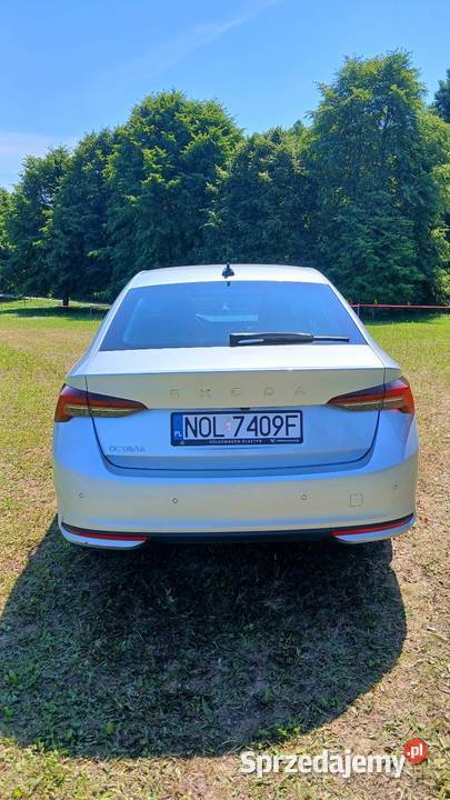 Skoda Octavia 2025 15 TSI mHEV 150 7500 Salon Biskupiec