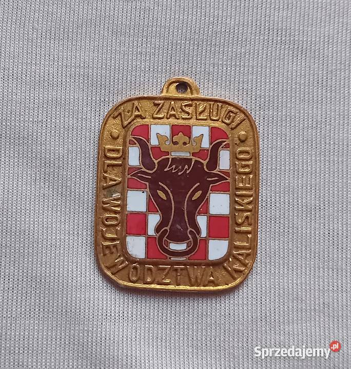 Zasługi Województwa Kaliskiego imienna 26580 Koźminek