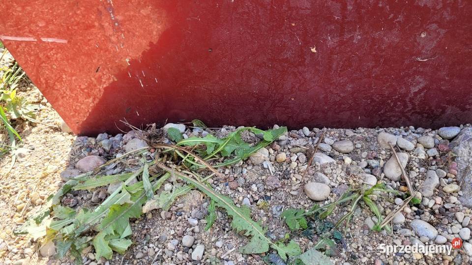 Drzwi Fiat Punto II osobowe mazowieckie