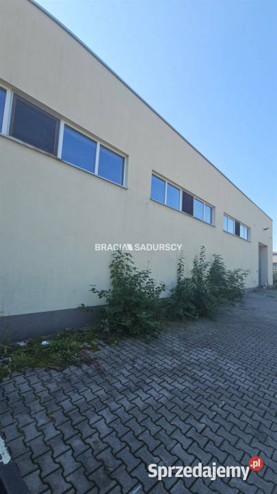 Lokal Niepołomice Grabska 432m2 Wynajem małopolskie