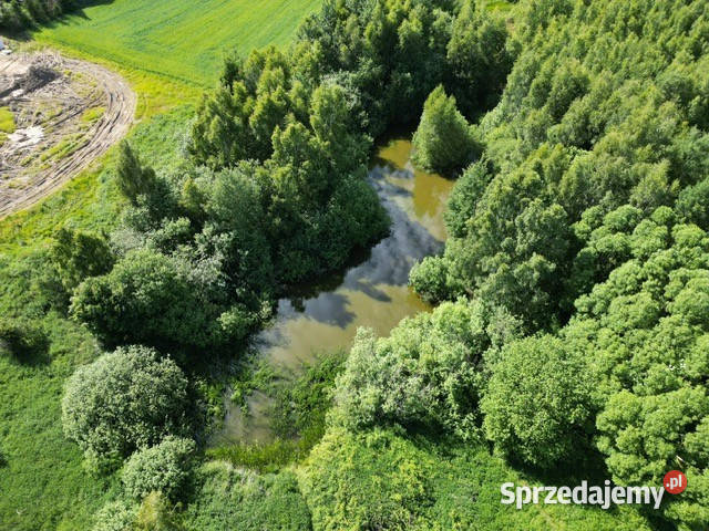 Piękna działka pod siedlisko Gdańsku 8721m2 Glincz sprzedam
