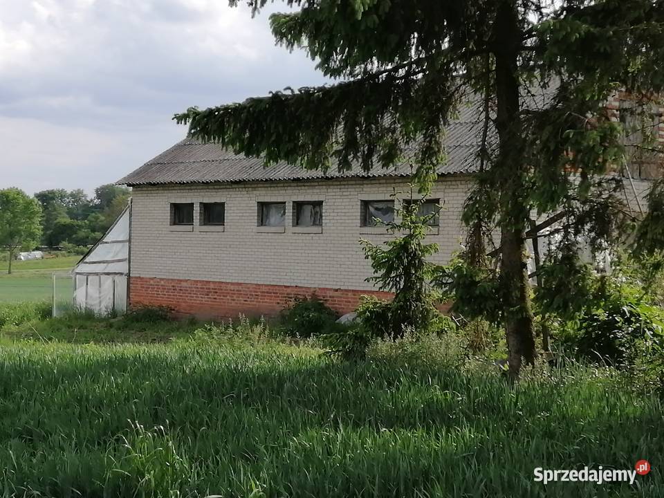 SIEDLISKO dom 1ha pola Chyżowice