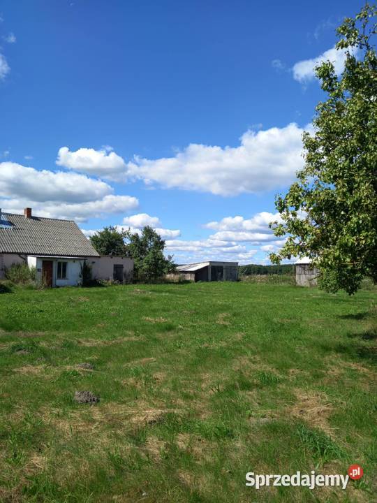 Dom 160m z działką 3700m w mieszkania Okazja 3700m2 Wysoka Krajeńska
