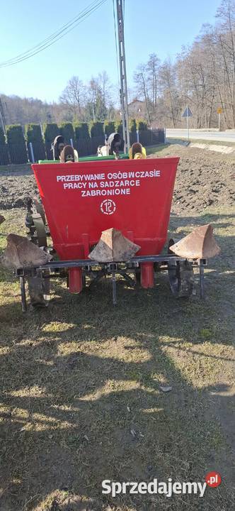 Sadzarka do ziemniaków AKPIL z dozownikiem Dębica