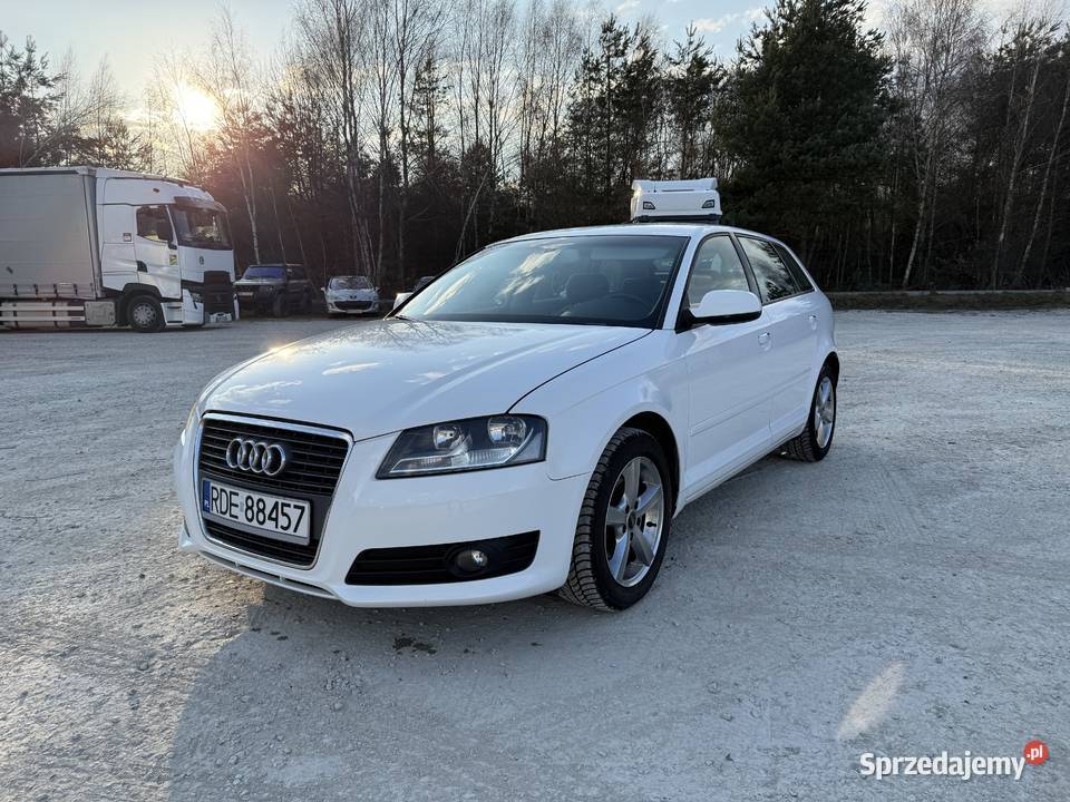 Audi A3 8P 2010 16 TDI 262 000 A3 Pilzno