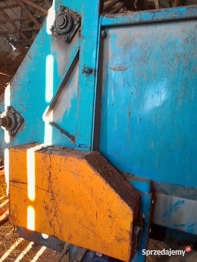 Rozrzutnik Rozrzutniki obornika mazowieckie Ostoje