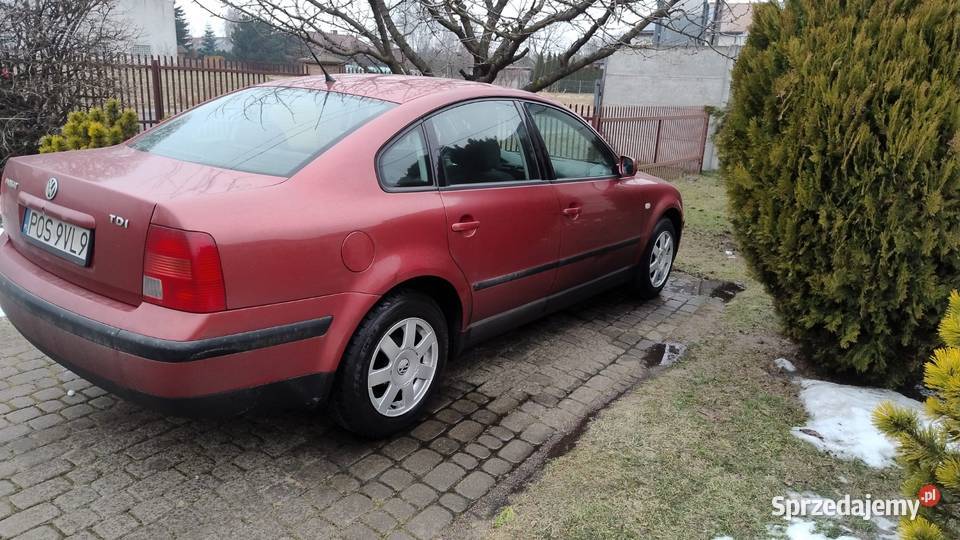 Volkswagen Passat B5 Ostrów Wielkopolski