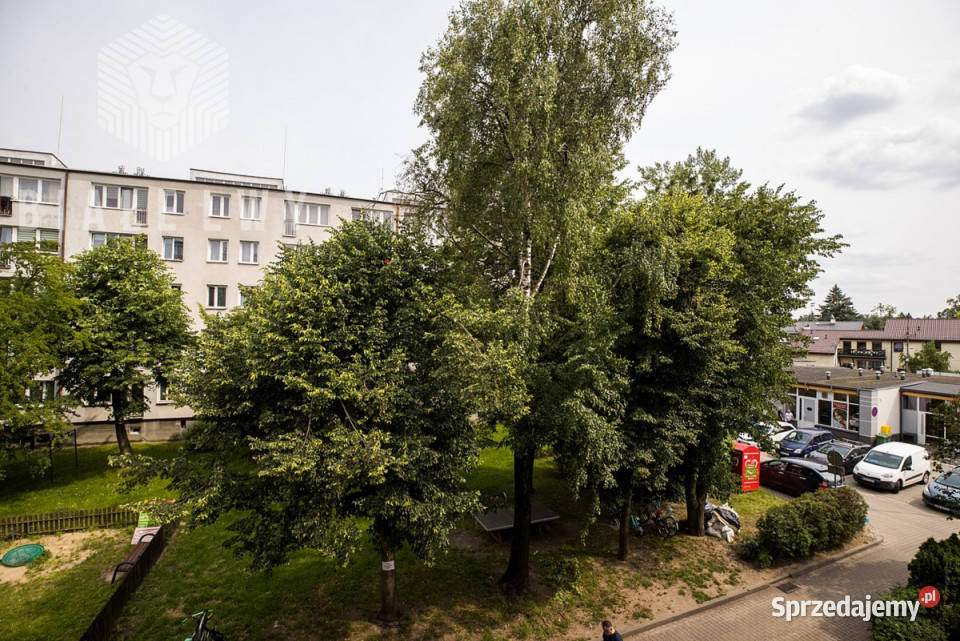 Mieszkanie na sprzedaż 379m2 2 pokojowe Grodzisk Liczba pokoi 2 Grodzisk Mazowiecki