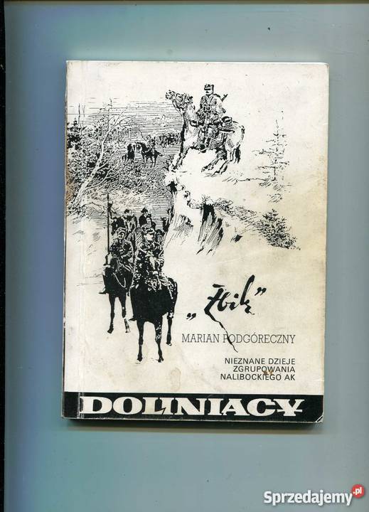 Doliniacy T1 Niemnem Szczecin