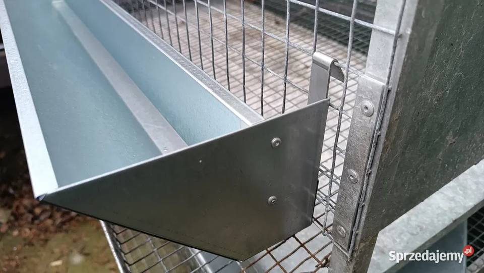 Karmidła przepiórek wielkopolskie Dzięcielin