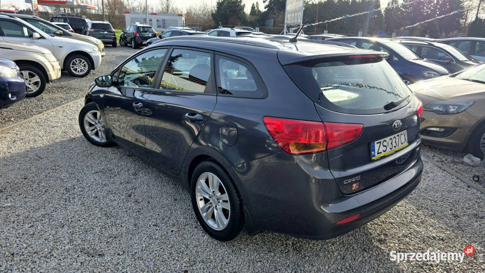 Kia Ceed Salon Polska 17 DGWARANCJA W Możliwa dolnośląskie Świdnica