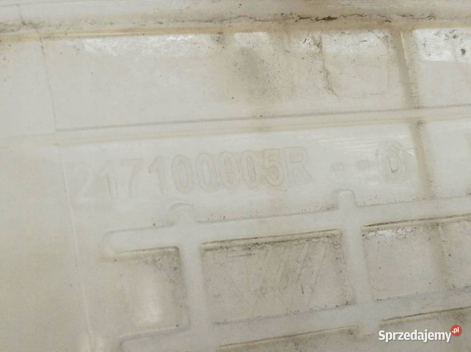 ZBIORNICZEK WYRÓWNAWCZY 217100005R Renault