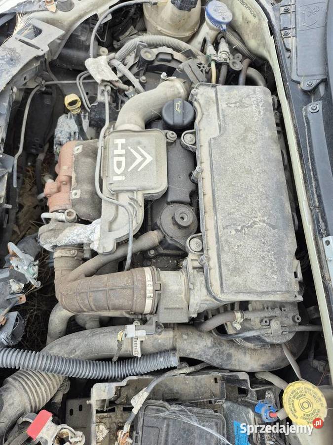 Silnik 14 HDI CITRON Peugeot Ford wielkopolskie sprzedam