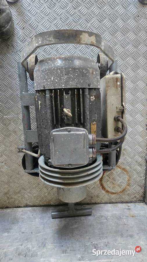 Śrutownik bąk Czechowice-Dziedzice