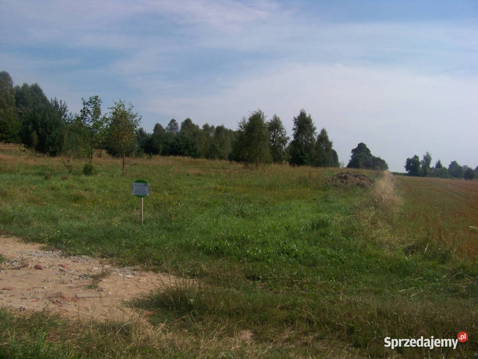 Sprzedam działkę Dąbrowa sprzedam