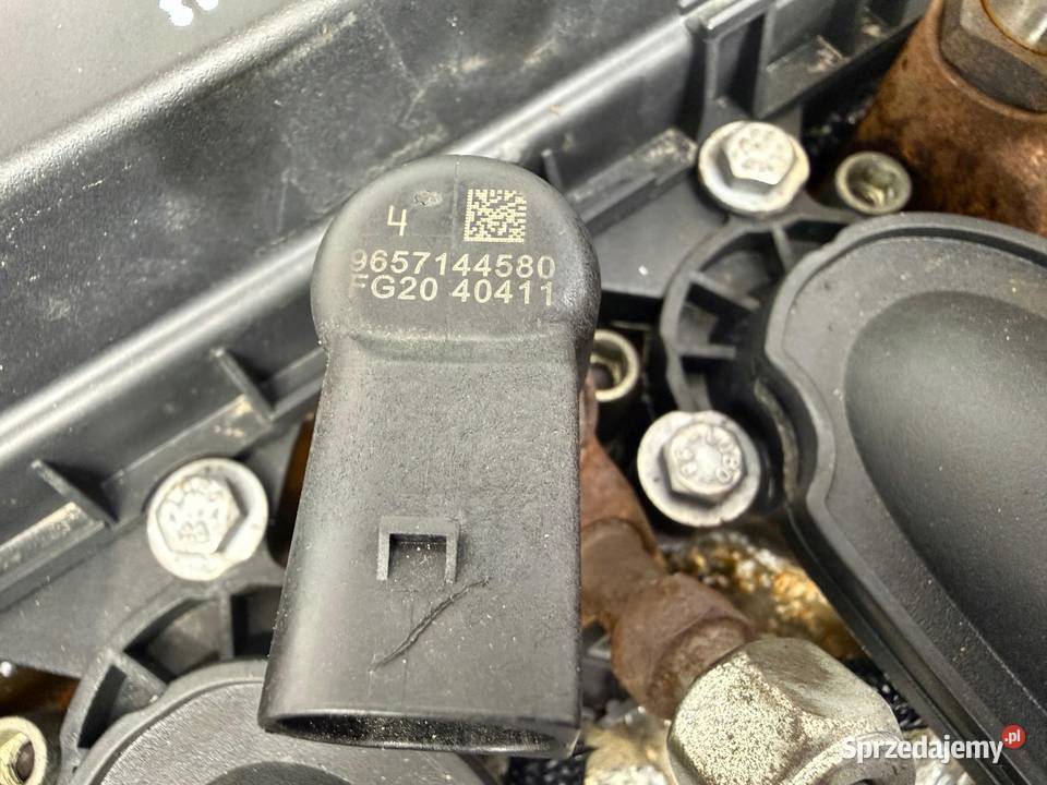 SILNIK Peugeot 307 308 407 607 807 20 HDI 16V osobowe Chełm