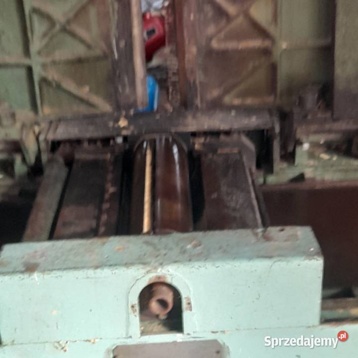 Strugarko grubosciowka jaroma mazowieckie Lipsko