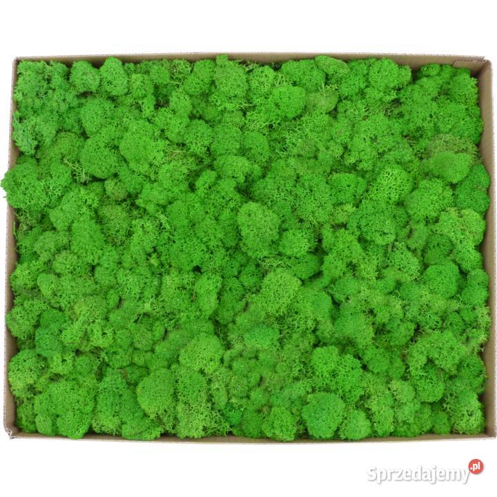 Mech Chrobotek PREMIUM Apple Green Karton 1