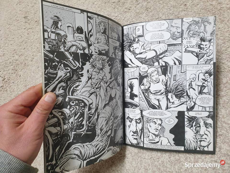 Obywatele w miłosnych uściskach komiks erotyczny pomorskie Gdynia