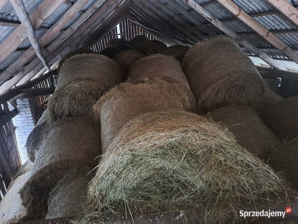 Siano Bele 120 x 140 Ruda-Huta