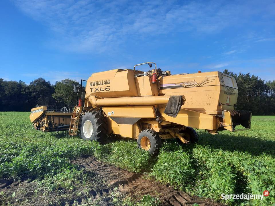 holland tx66 Sieraków Śląski