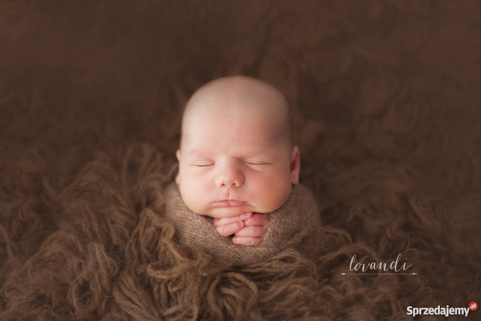 Sesja noworodkowa Wrocław dolnośląskie Wrocław sprzedam