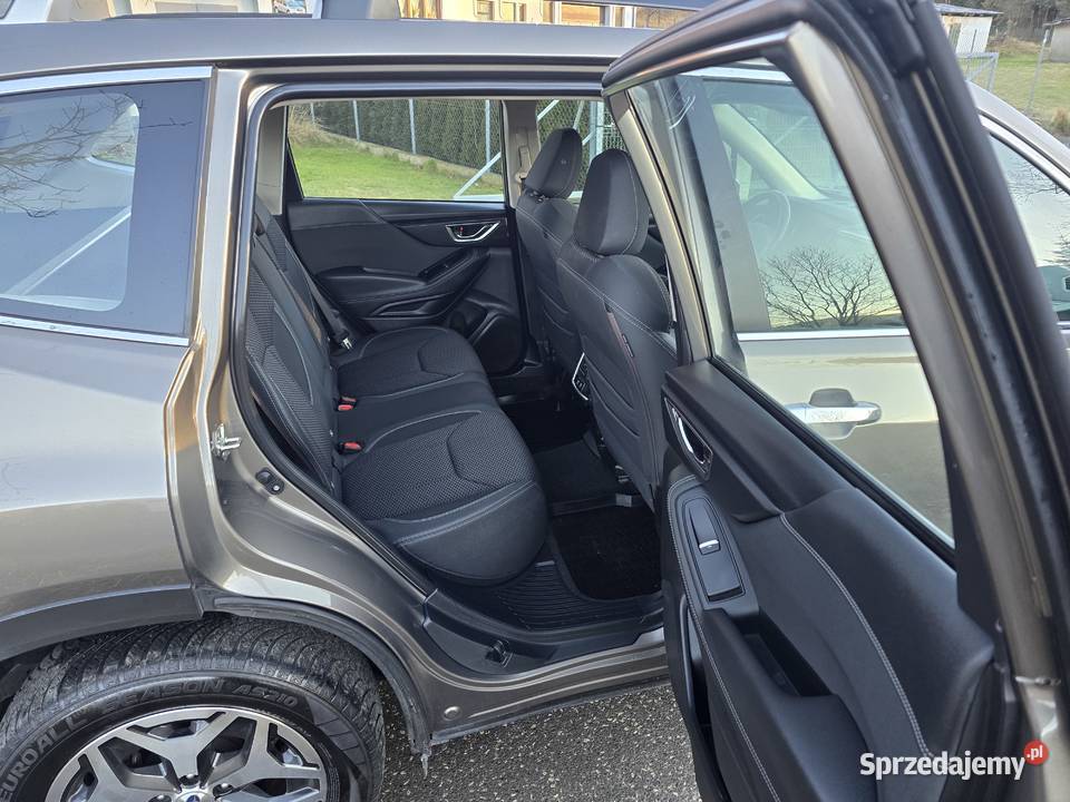 Forester 20 Eboxer radio Forester dolnośląskie