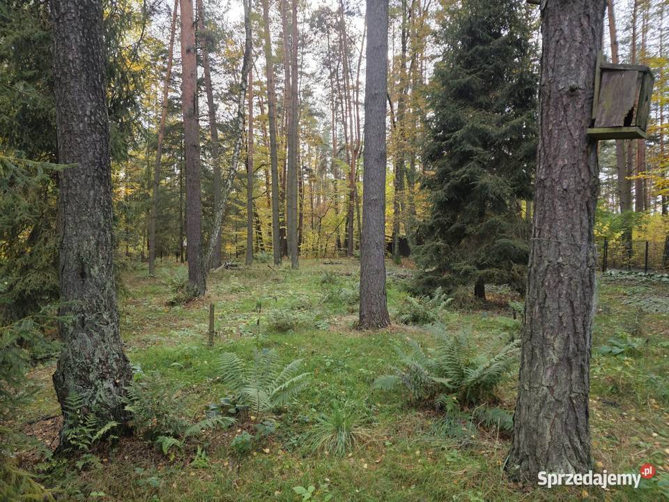 Duża przestronna działka rekreacyjna 2000 mkw 1835m2 Żarki-Letnisko