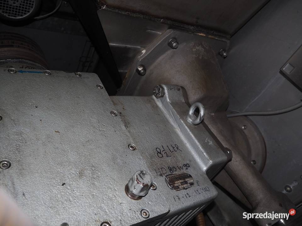 Krmer Grebe SCWW Wilk masarski Krotoszyn