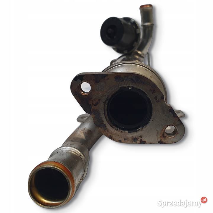 CHŁODNICA SPALIN VW Passat B6 20 TDI 03L131512B Recyrkulacja spalin EGR Chełm