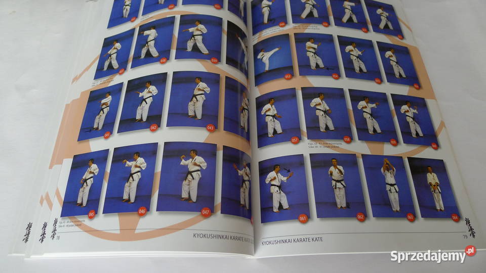 Bruin Kyokushin Karate 104 DanKata 2 ks Radom sprzedam