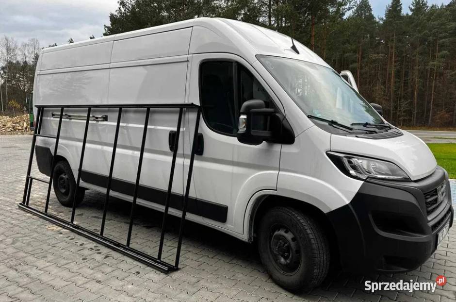 agażnik dachowy z drabinką Ducato Boxer Jumper świętokrzyskie Daleszyce
