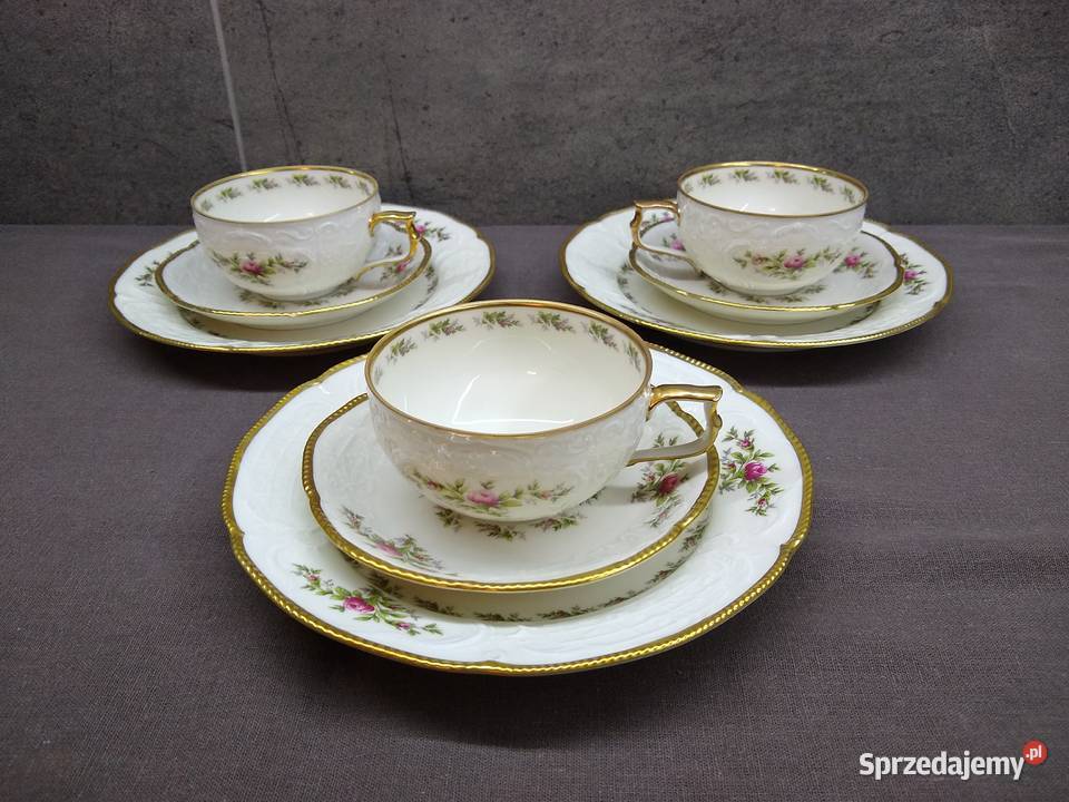 Filiżanka herbata Rosenthal Sanssouci Moosrose Kalisz