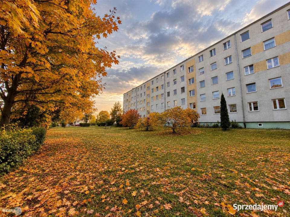 Mieszkanie Kielce 522m2 3 pokoje 52.2m2