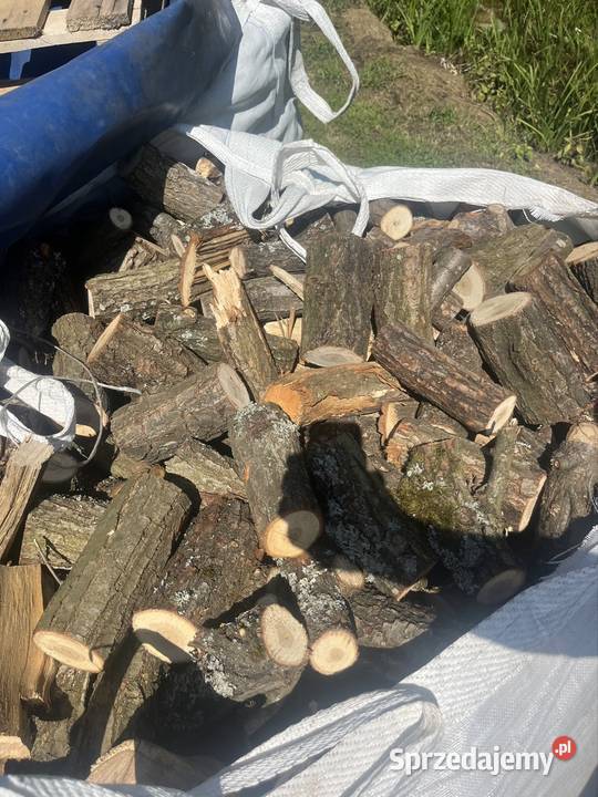Drzewo drewno liściaste dębina bigbag suche Zwoleń sprzedam