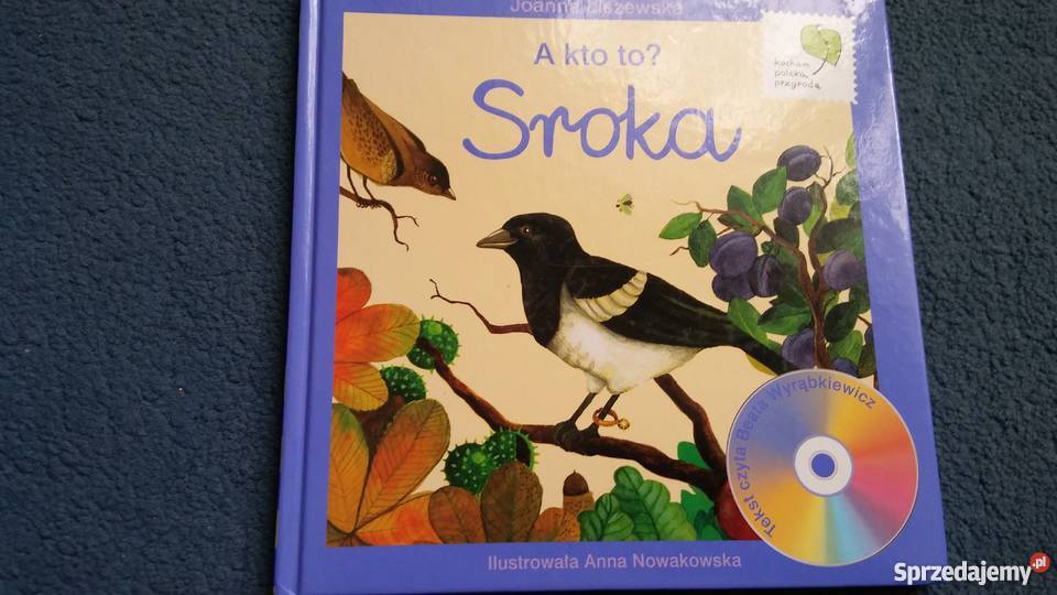 a kto to sroka Liszewska z płytą wielkopolskie Poznań