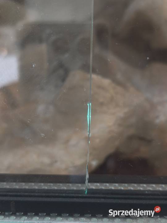 Terrarium gekona lamparciego śląskie Sosnowiec