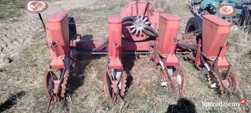 Siewnik do kukurydzy 4 rzędowy Płochocinek
