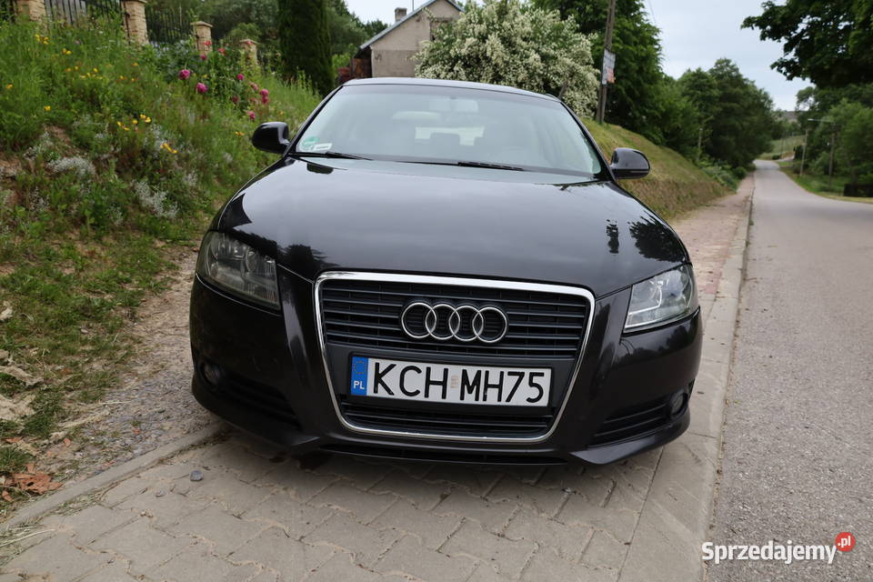 AUDI A3 8P LIFT nieuszkodzony Łagów