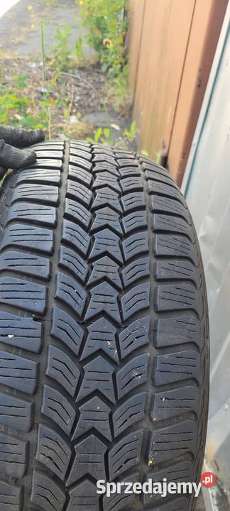 Dębica FRIGO 20560 R16 2017 zachodniopomorskie Szczecin