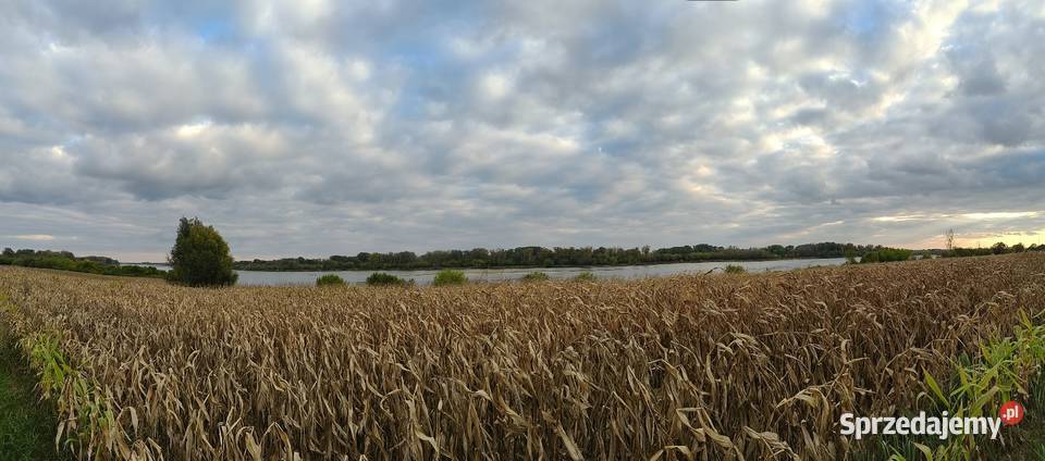 Działka na sprzedaż mazowieckie Wyszogród sprzedam
