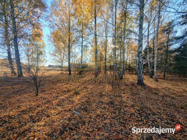 sprzedaży działki Żelechów 1277m2 utwardzona