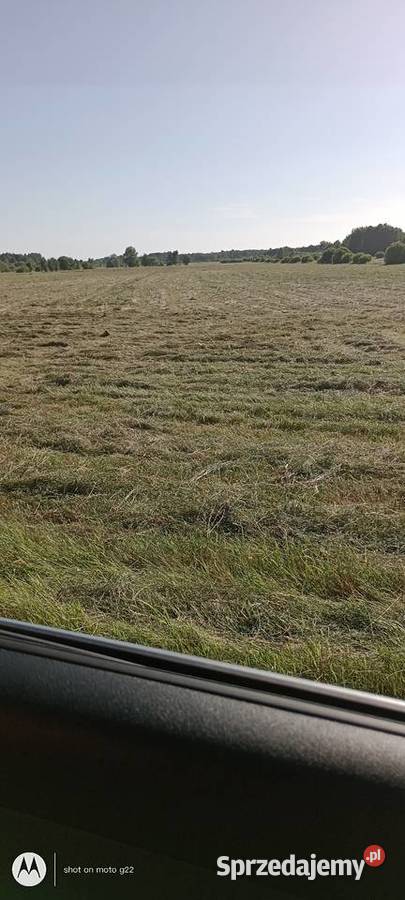 Sprzedam Siano Białogard