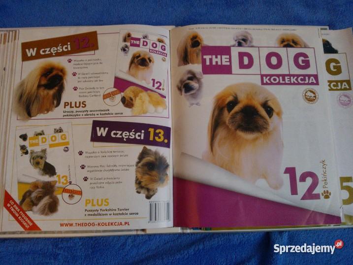 kolekcja THE DOG Poznań sprzedam