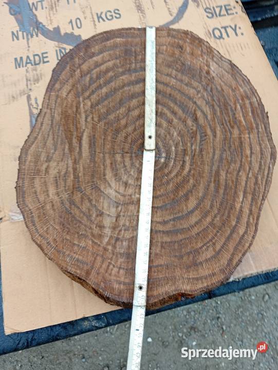 Plaster dębu na stolik kawowy Stoliki kawowe i ławy Meble Nowy Sącz