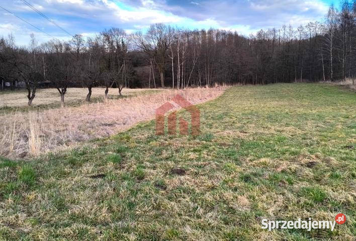 Grunt na sprzedaż 3500m2 Woliczka podkarpackie