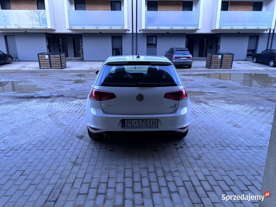 ma na sprzedaż Golfa 7 16 tdi 110 2015r diesel Leszno