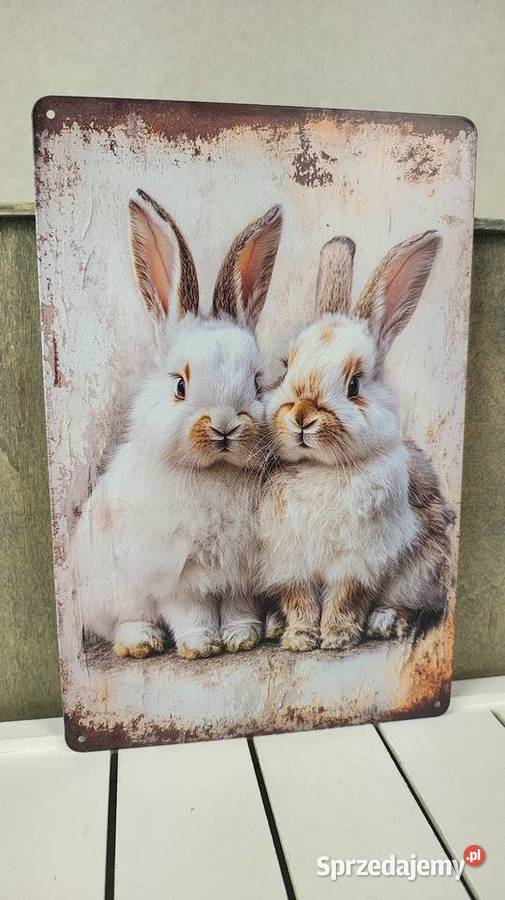 Tabliczka metalowa Obrazki i obrazy łódzkie Łódź